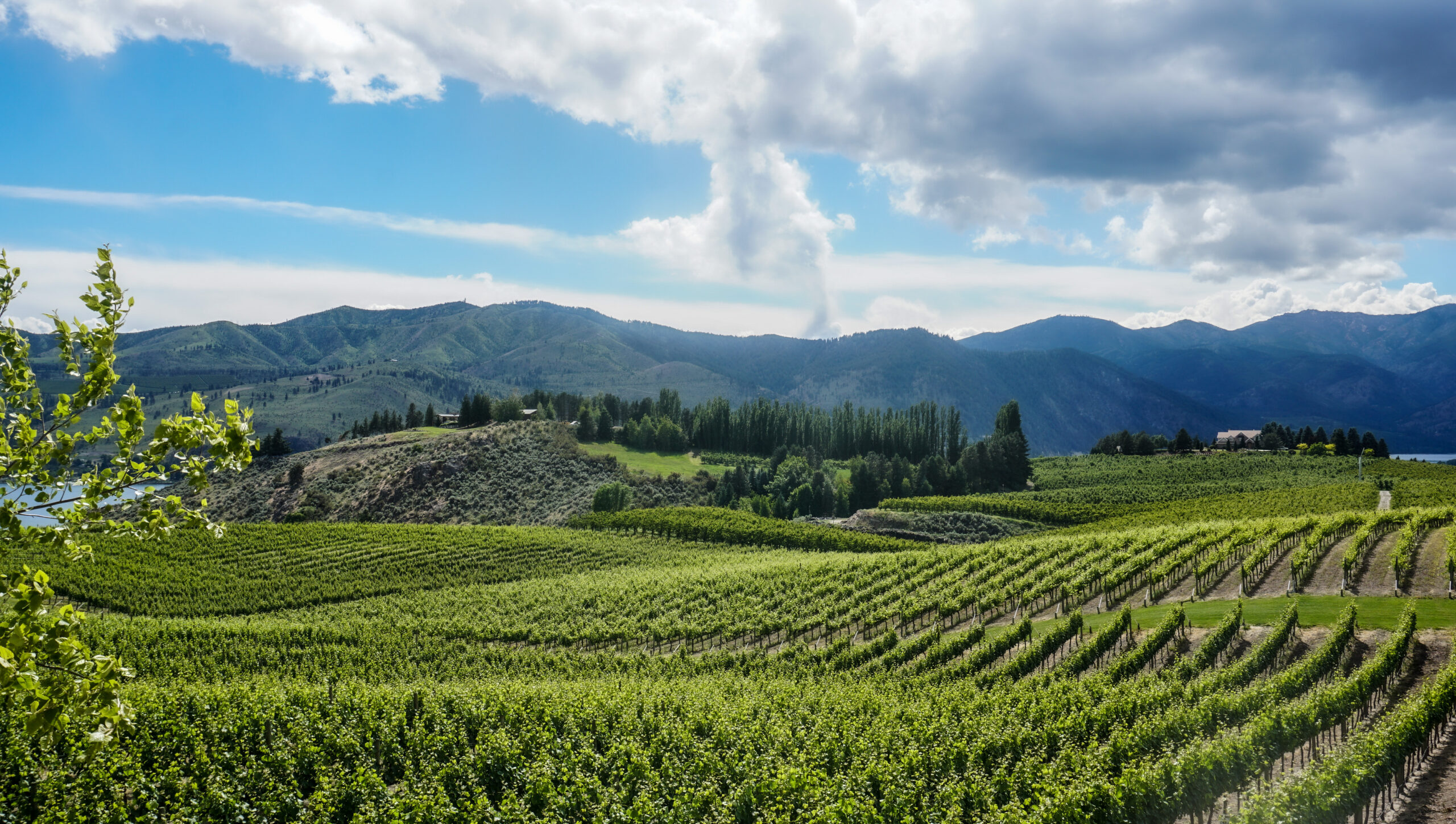 Lake Chelan AVA Washington State Wine Commission