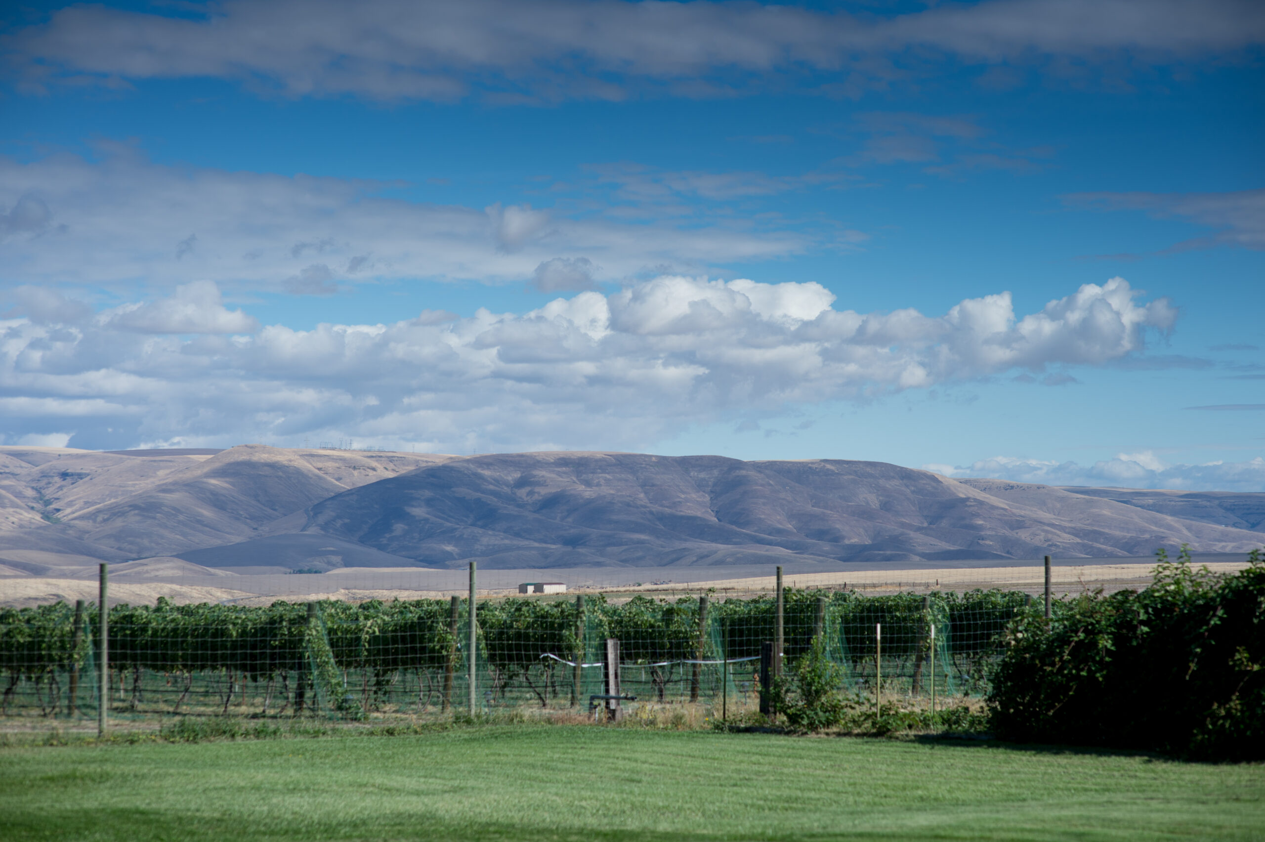 Lewis Clark Valley Named Newest American Viticultural Area Washington